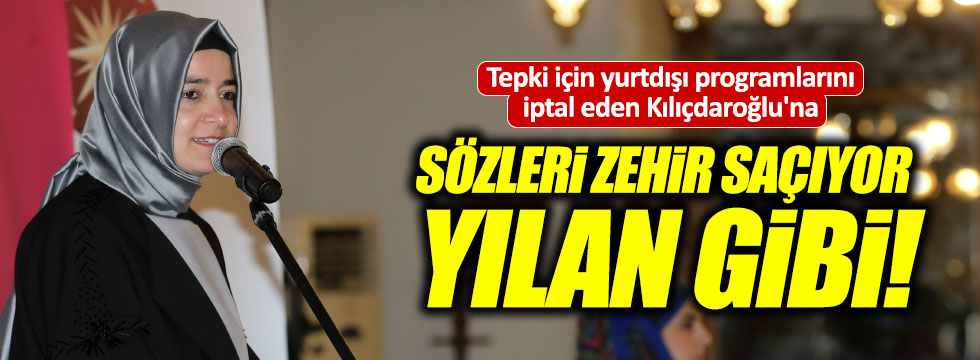 Aile Bakanı, "Kılıçdaroğlu, yılan gibi milleti zehirliyor"