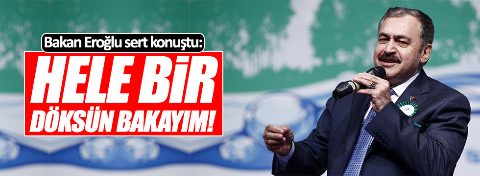 Bakan Eroğlu: "Hele bir döksün bakayım!"