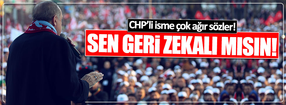Erdoğan'dan CHP'li Bozkurt'a: "Sen gerizekalı mısın?"