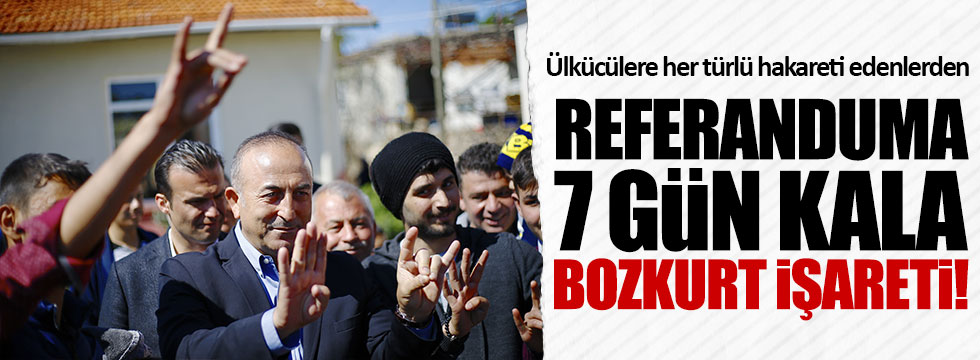 AKP'li Çavuşoğlu'ndan bozkurt işareti