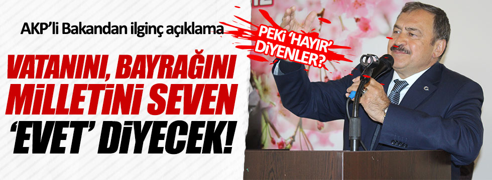 AKP'li Bakan Eroğlu'ndan 'hayır'cılara ilginç itham