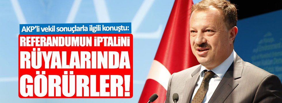 AKP'li Özel: Referandumun iptalini rüyalarında görürler!