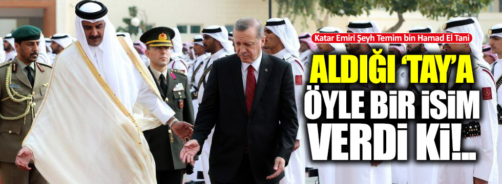 Katar Emiri aldığı taya 'Erdoğan' adını verdi