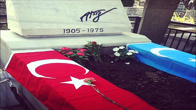 Türkçü gruplar, Türkçüler Günü için bir araya gelecek