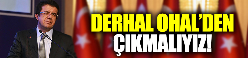 Zeybekci: "Türkiye derhal OHAL'den çıkmalı"