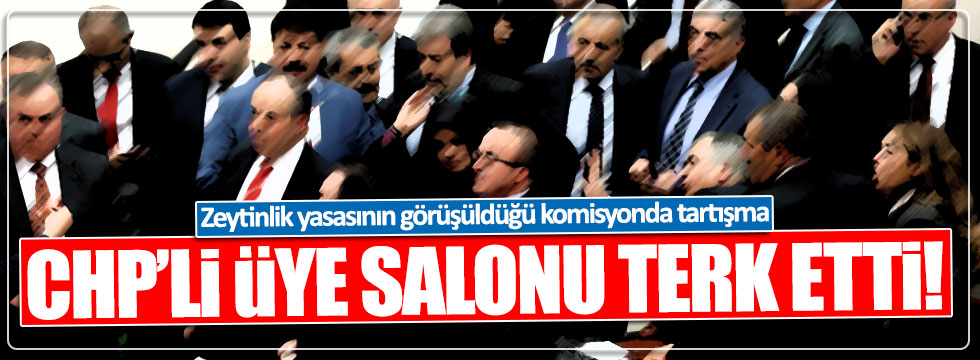AKP'lilerle tartışan CHP'li Didem Engin, komisyonu terk etti