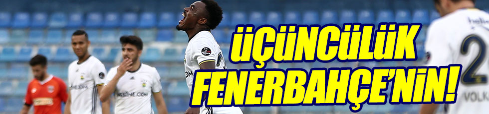 Adanaspor 1-3 Fenerbahçe maç özeti