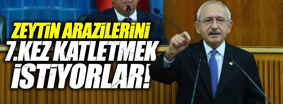 Kılıçdaroğlu: "Sıra zeytin ağaçlarının katliamına geldi"