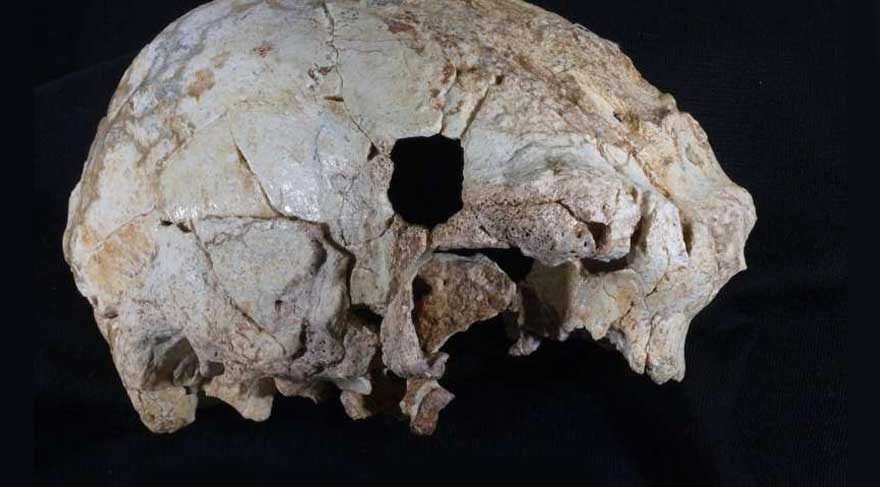 300 bin yaşında kafatası bulundu