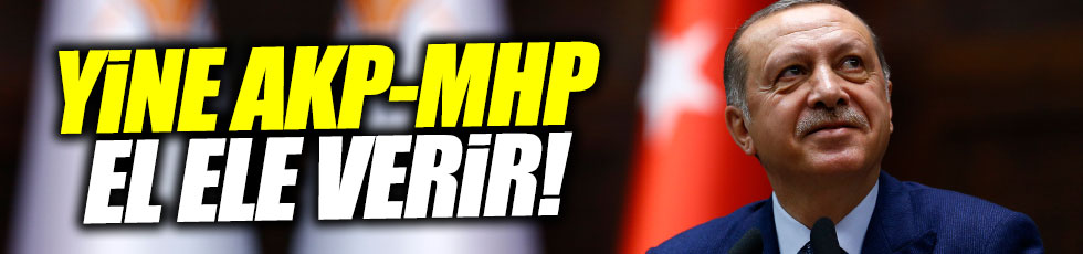 Erdoğan'dan MHP'ye çağrı