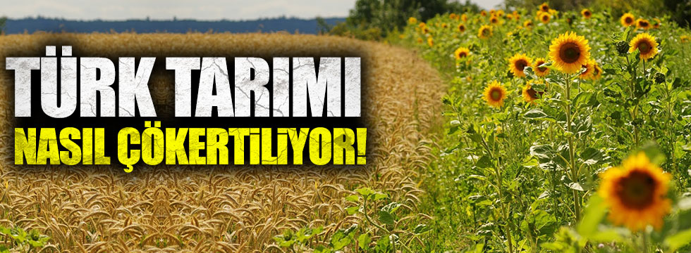 Türk tarımı nasıl çökertiliyor !