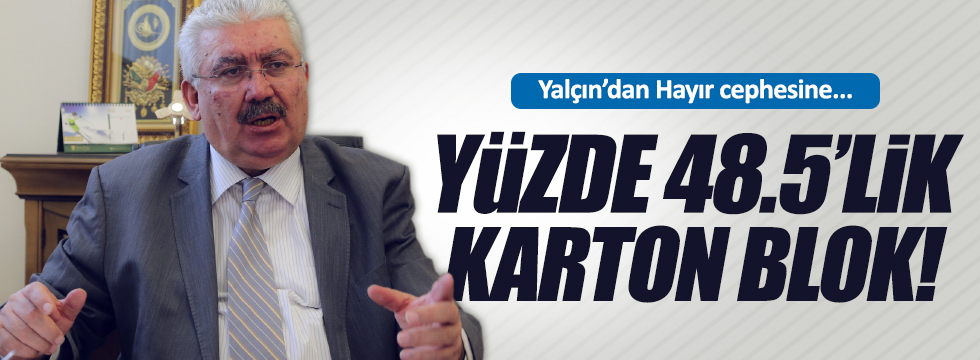MHP Genel Başkan Yardımcısı Yalçın'dan "Hayır" cephesine: Kartondan blok!