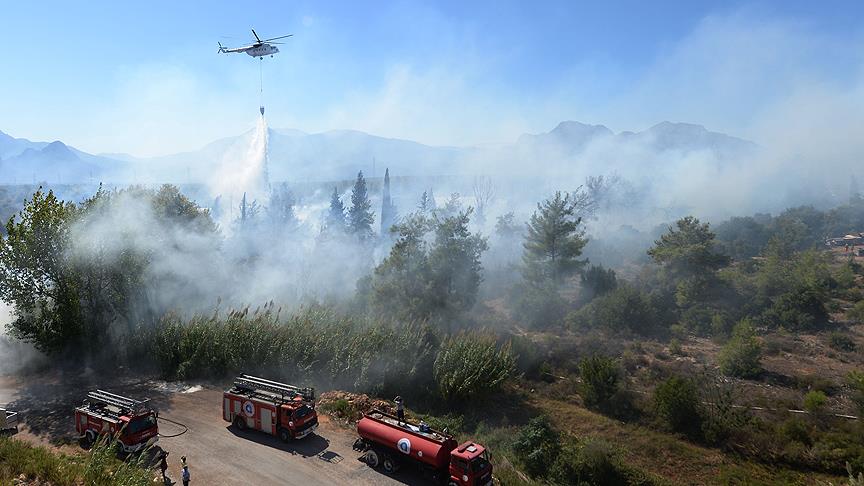 Antalya'da orman yangını!