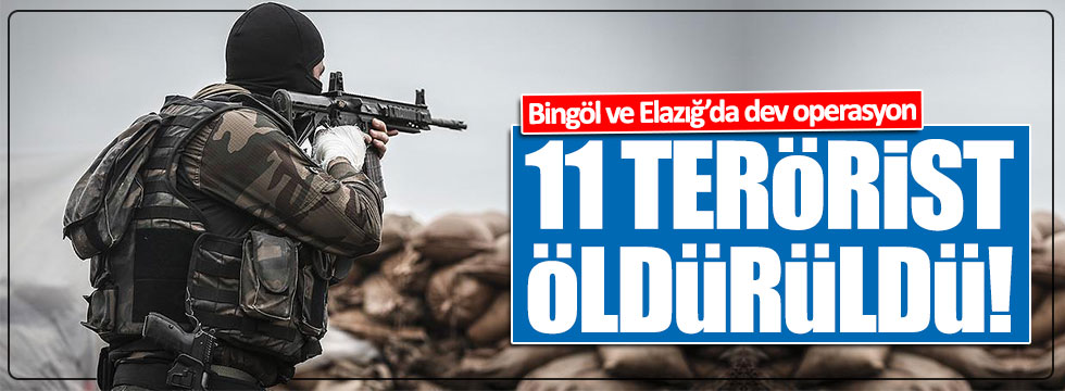 Bingöl ve Elazığ'da 11 terörist öldürüldü