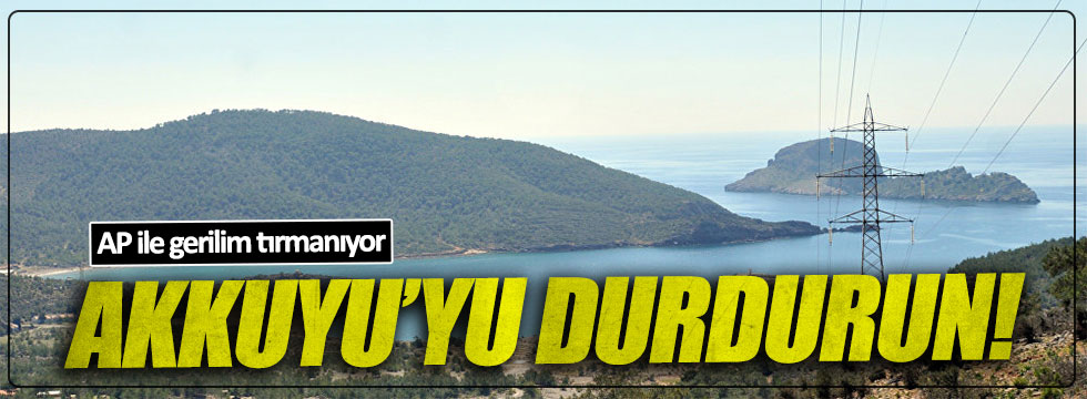 AP'den Türkiye'ye: Akkuyu'yu durdurun