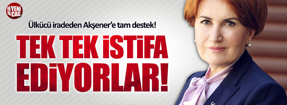 Ülkücü iradeden Akşener'e tam destek