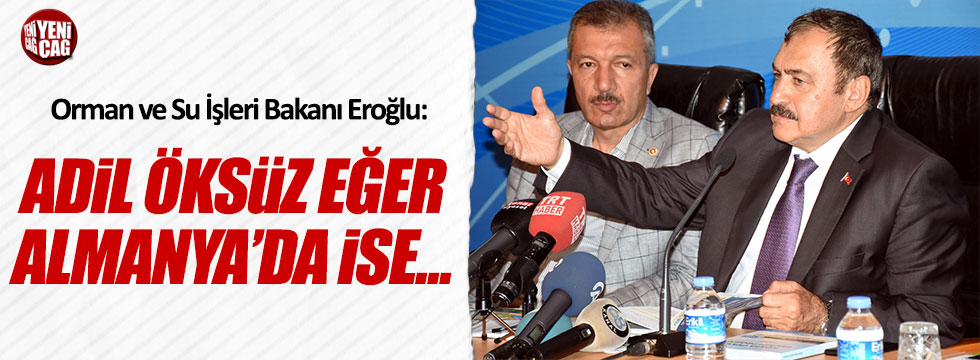 Bakan Eroğlu'ndan Adil Öksüz açıklaması
