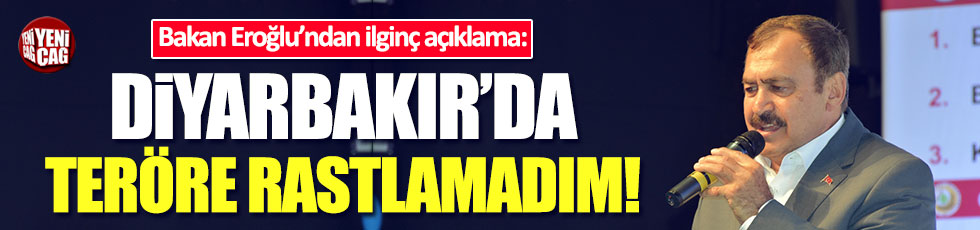 Bakan Eroğlu: Diyarbakır'da terör yok