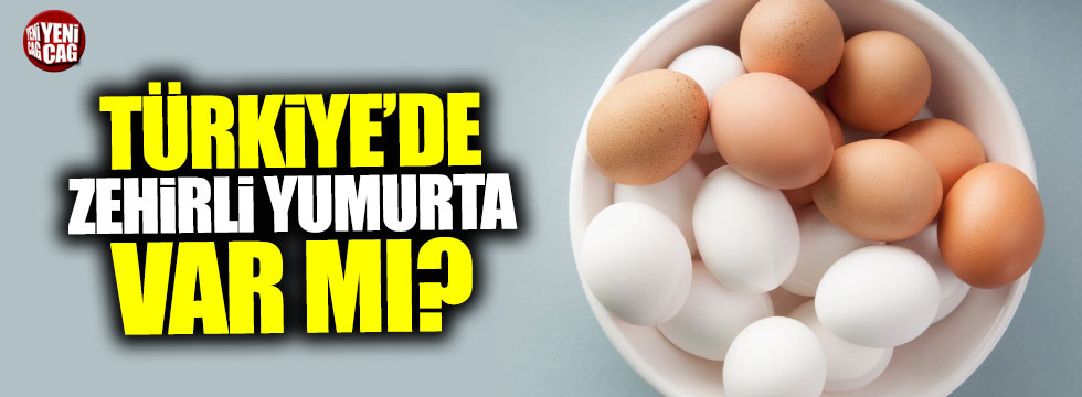 Türkiye'de zehirli yumurta tehlikesi var mı?