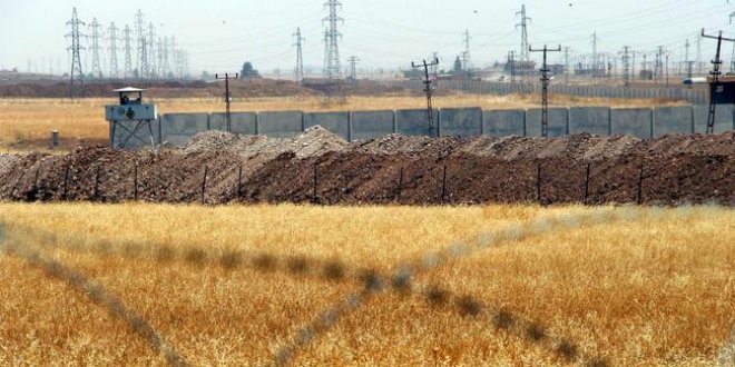 Suriye sınırına bu bitkilerin ekimi yasaklandı
