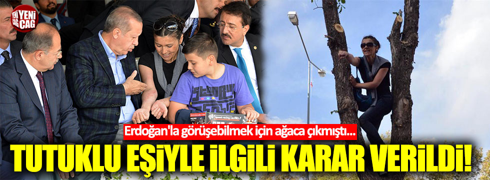 Erdoğan'la görüşebilmek için ağaca çıkan Kayacı, eşine kavuştu
