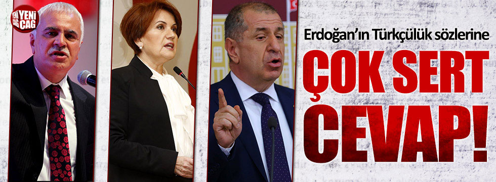 Erdoğan'ın Türkçülük sözlerine Akşener, Özdağ ve Aydın'dan çok sert cevap