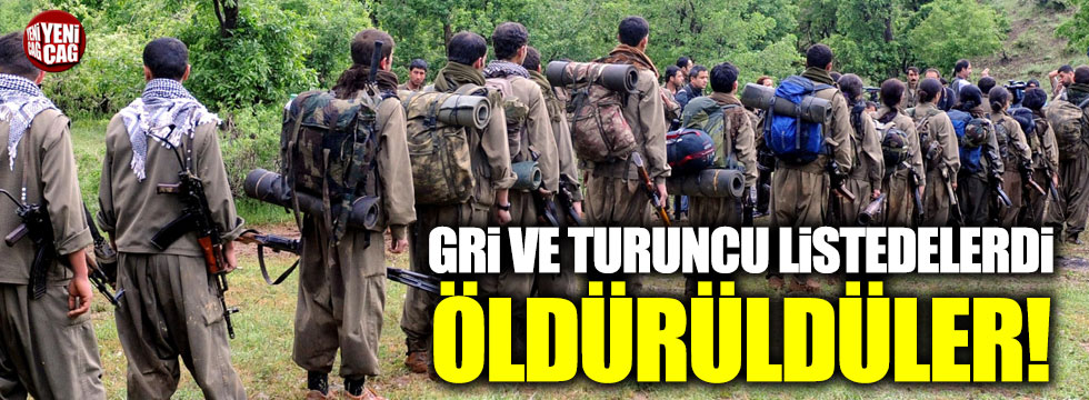 PKK'nın iki üst düzey yöneticisi öldürüldü