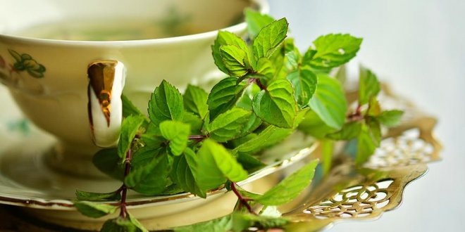 Mevsim hastalıklarından korunmak için bitki çayı tarifi