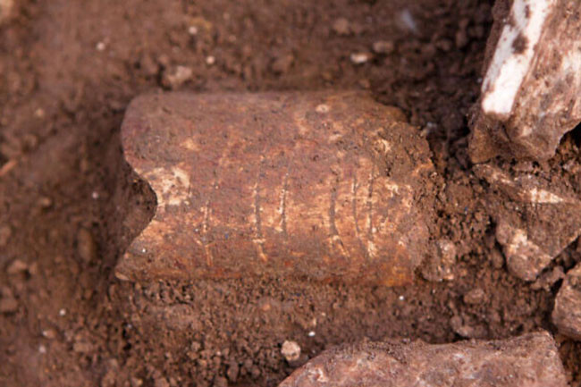 Fransız arkeologlar kazmayı vurduğunda çıkan ses ile irkildi. Çamurdan zor çıkarıldı - Resim : 1