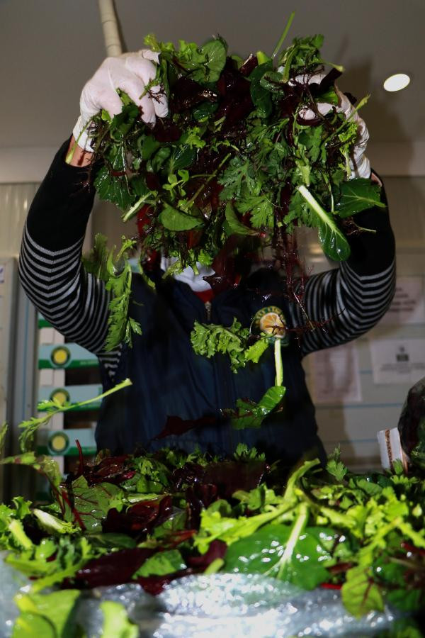 Adana'dan Dubai'ye Mascolin ihracatı - Resim : 1