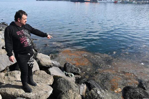 Marmara Denizi'nde görülmeye başladı - Resim : 4