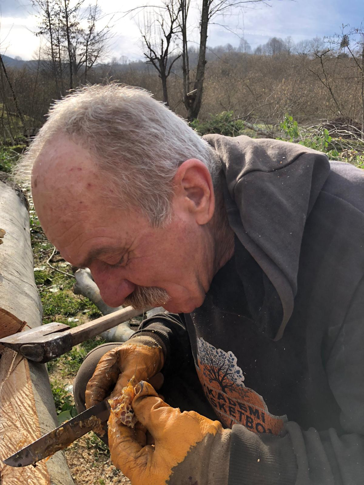 Sakarya'da çürük ağacı kesince tam ortasında buldu. Belgeselde gördüklerini kendisi yaşadı - Resim : 4