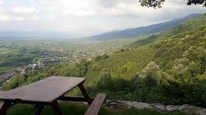 Acun Ilıcalı’dan Survivor'la ilgili flaş karar. Dominik bu olayla çalkalanıyor - Resim : 2