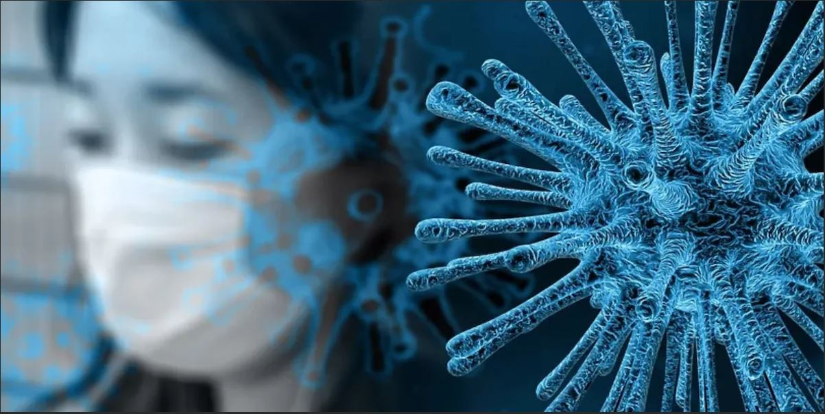 Türk profesörler koronaya kalkan olacak proteini buldu. Sevimli hayvan çağımızın salgınına çare olacak - Resim : 6