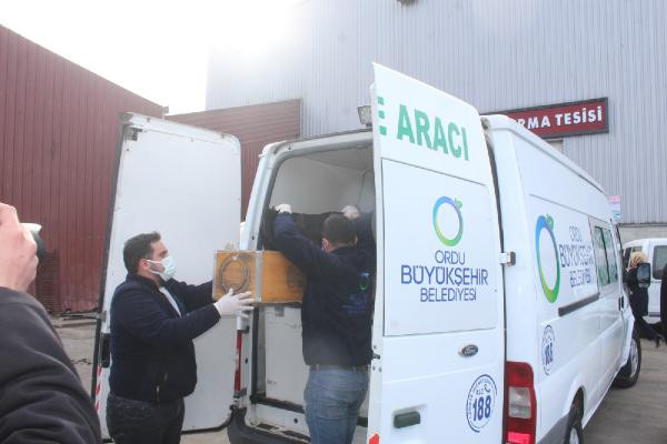 Ordu'da bebek cesedi bulundu - Resim : 4