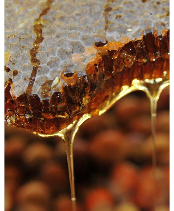 Uzmanı açıkladı! Çayın yanında şeker yerine tüketin. Beslenmenin altın çocuğu - Resim : 1