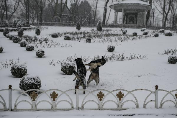İstanbullular güne karla uyandı. Dört gün boyunca kesintisiz yağacak - Resim : 1
