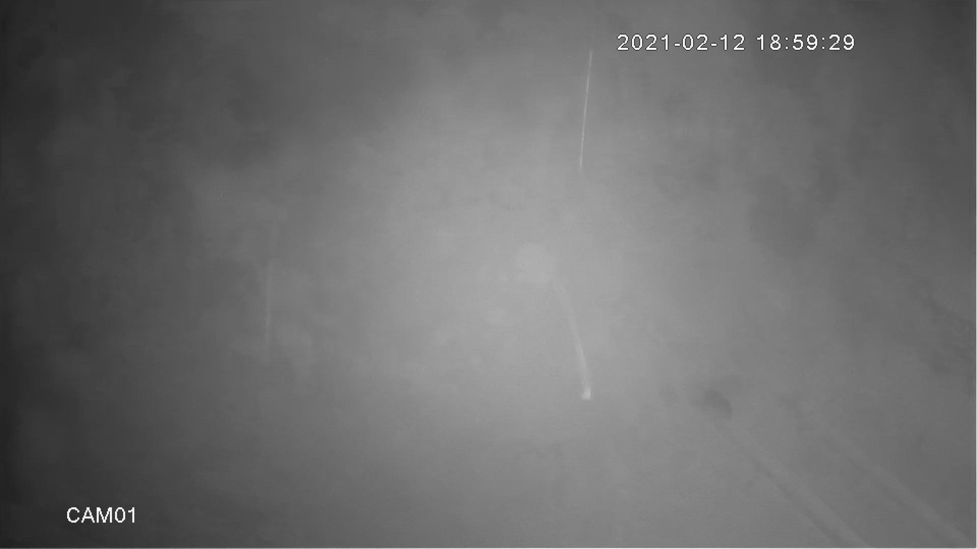 Sakarya’da aç kalan kurtlar yaylaya indi - Resim : 3