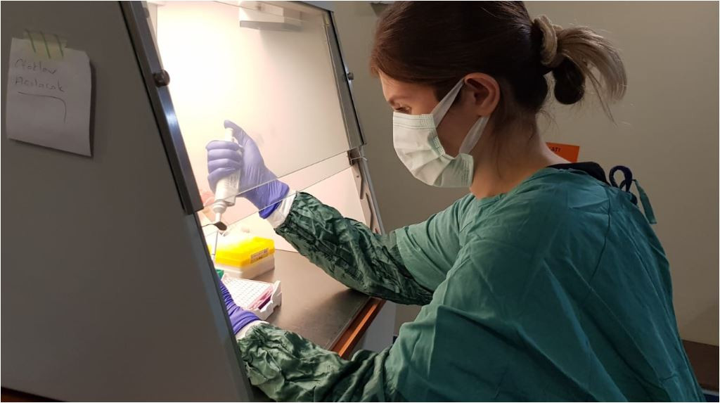 Korona savaşçısı Prof. Dr. Aynur Karadenizli iyi haberi verdi - Resim : 2