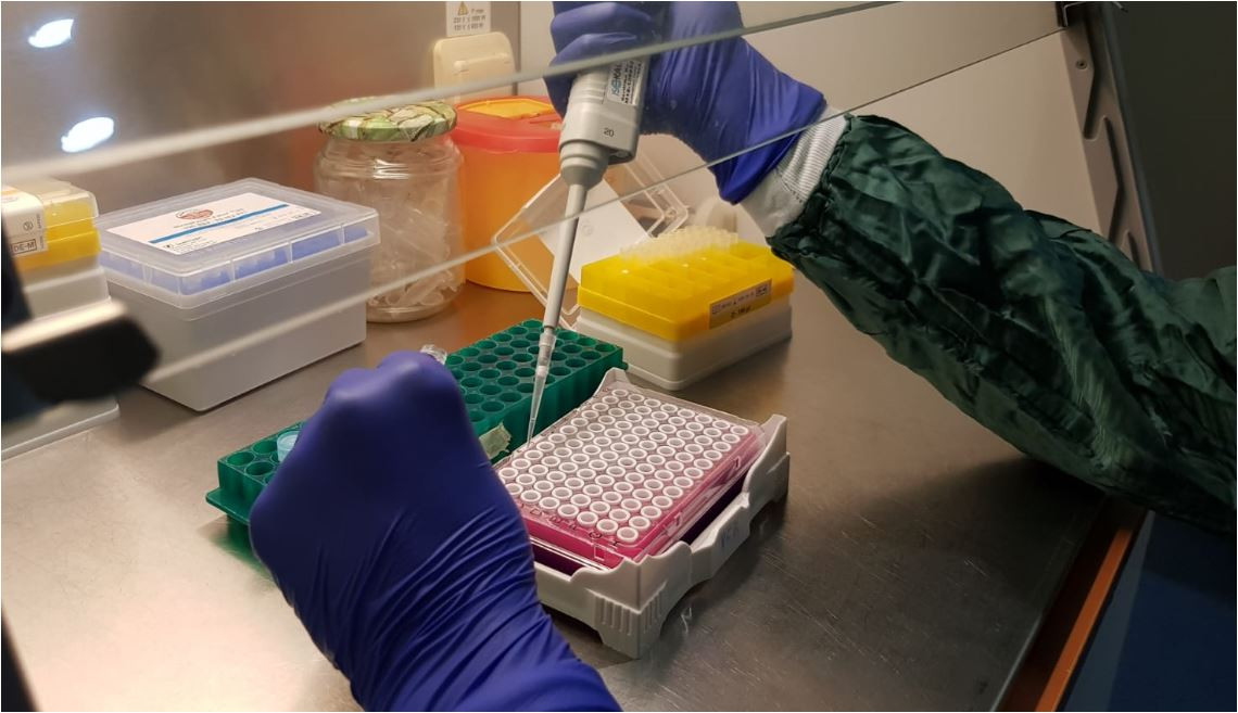 Korona savaşçısı Prof. Dr. Aynur Karadenizli iyi haberi verdi - Resim : 3