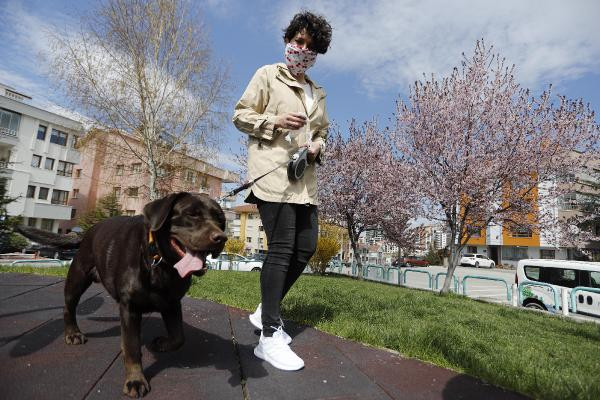 Bilim Kurulu üyesi Naim Deniz Ayaz: Aşı olmasa bile hayvanlarda PCR testi istenilebilir - Resim : 3