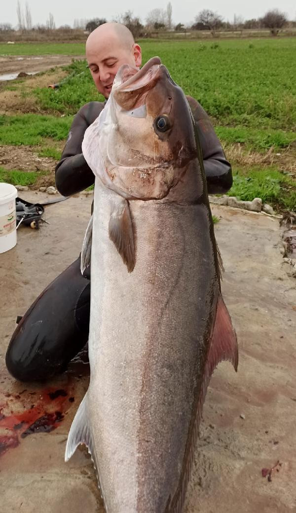 23 metreye dalıp özel zıpkınla vurdu. Boyu kadar balığa tek atış - Resim : 2
