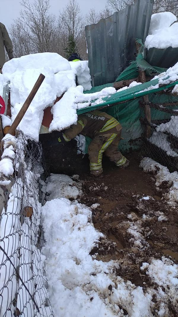 Enkaz altında onlarcası öldü. Karın ağırlığını kaldıramadı yerle bir oldu - Resim : 9