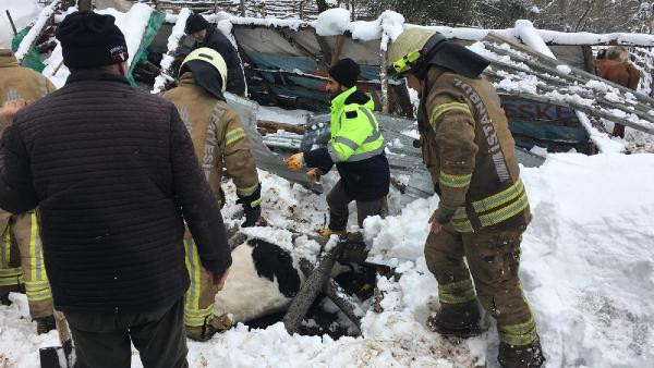 Enkaz altında onlarcası öldü. Karın ağırlığını kaldıramadı yerle bir oldu - Resim : 10