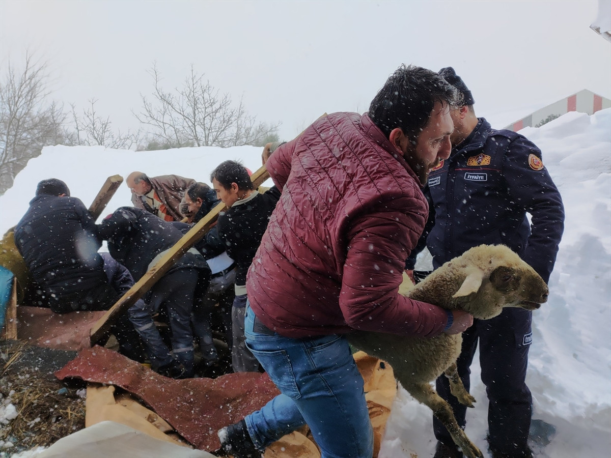 Bursa'daki ahır çatırtı seslerinin ardından küt diye çöktü: Kuzular can verdi - Resim : 3
