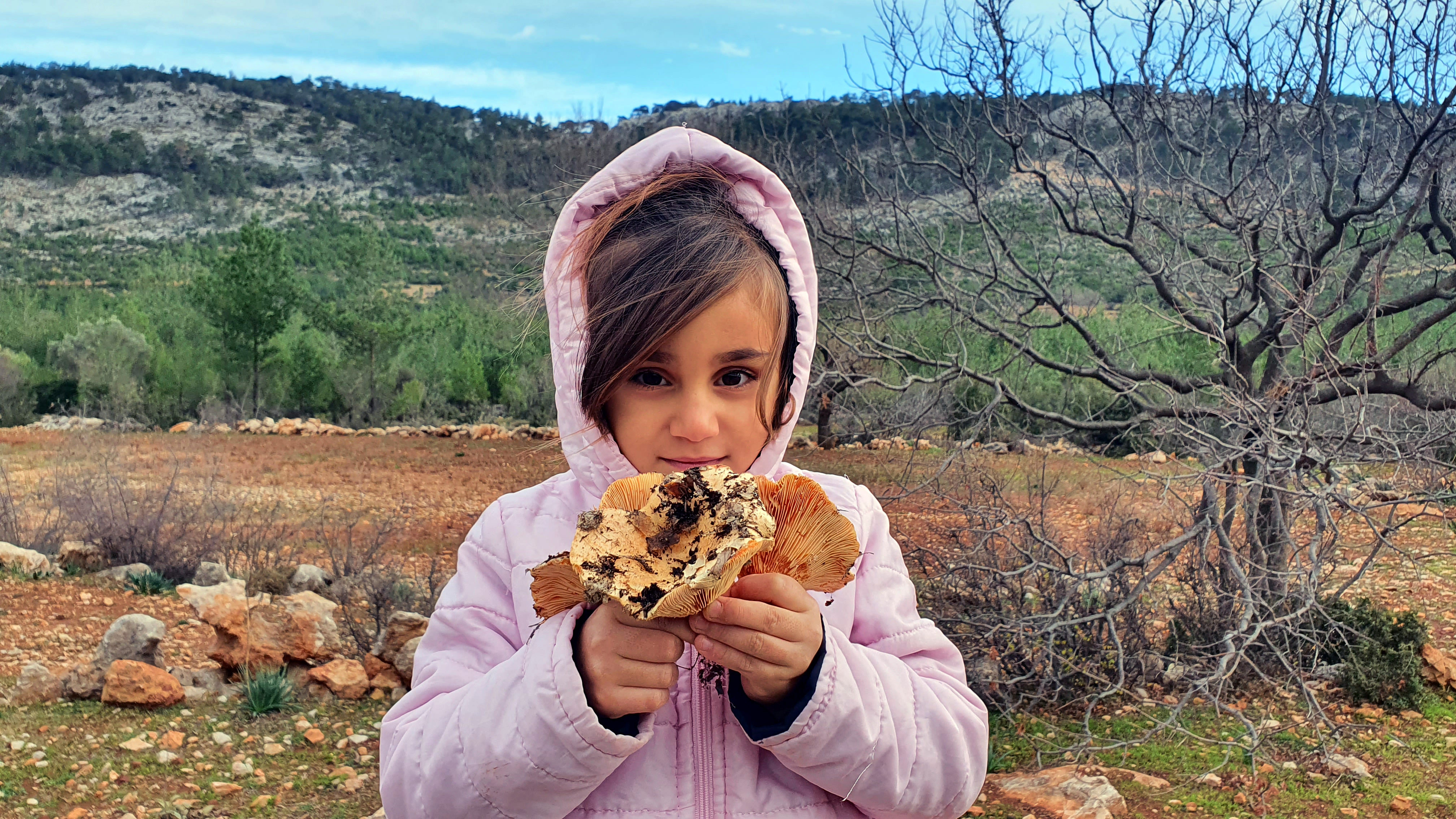 Mersin'de ormandan topluyorlar kilosunu 40 TL'den kapışılıyor. Yağmur bitince akın ediyorlar - Resim : 2