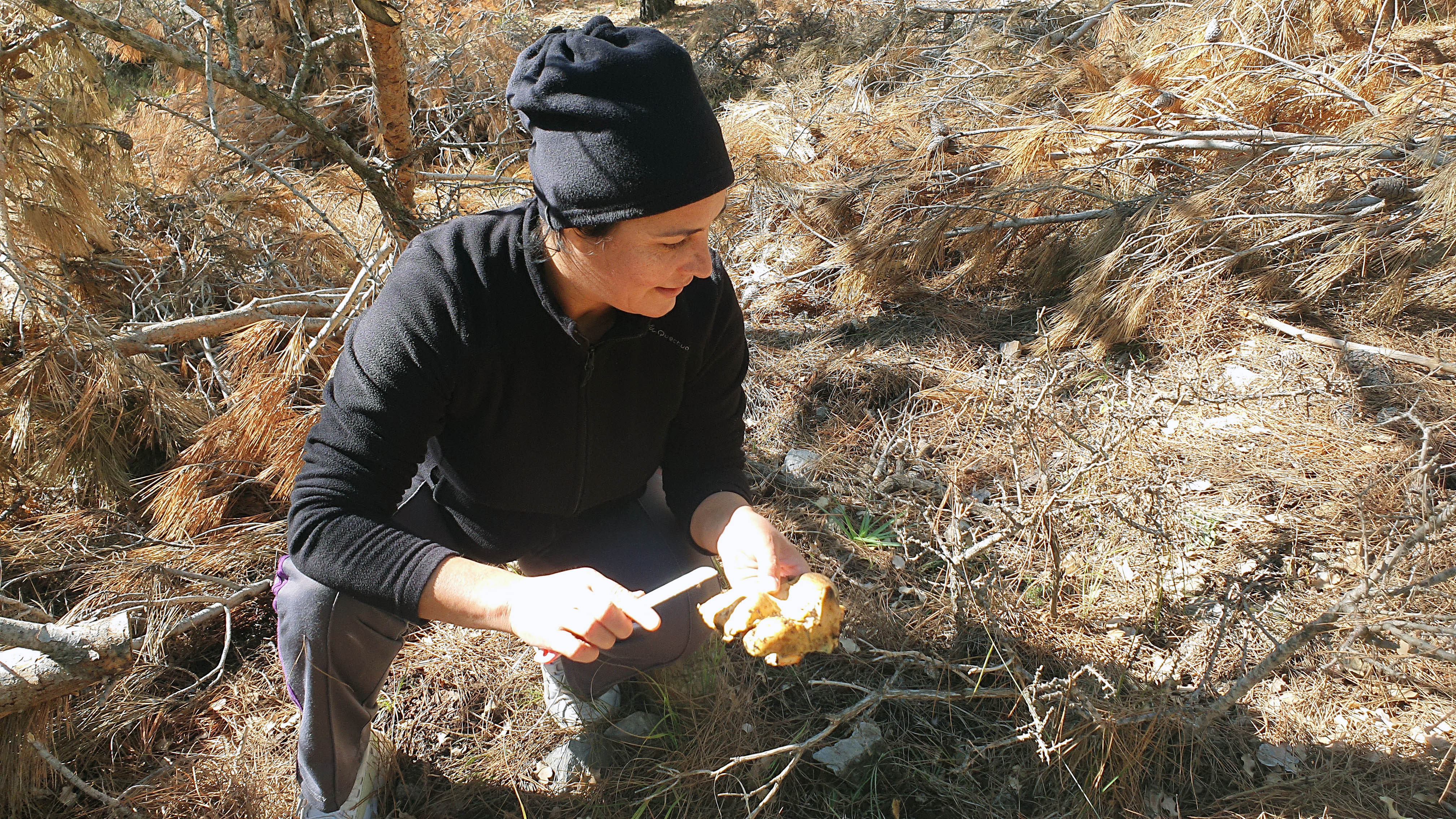 Mersin'de ormandan topluyorlar kilosunu 40 TL'den kapışılıyor. Yağmur bitince akın ediyorlar - Resim : 5