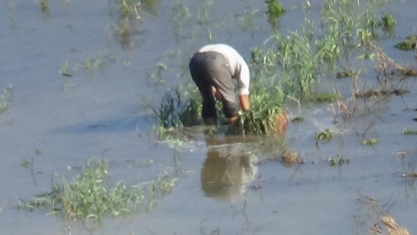 Dar gelirlinin sebzesi 3 TL'den 8 TL'ye fırladı. Baraj taştı olan vatandaşa oldu - Resim : 1