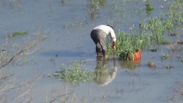 Dar gelirlinin sebzesi 3 TL'den 8 TL'ye fırladı. Baraj taştı olan vatandaşa oldu - Resim : 4