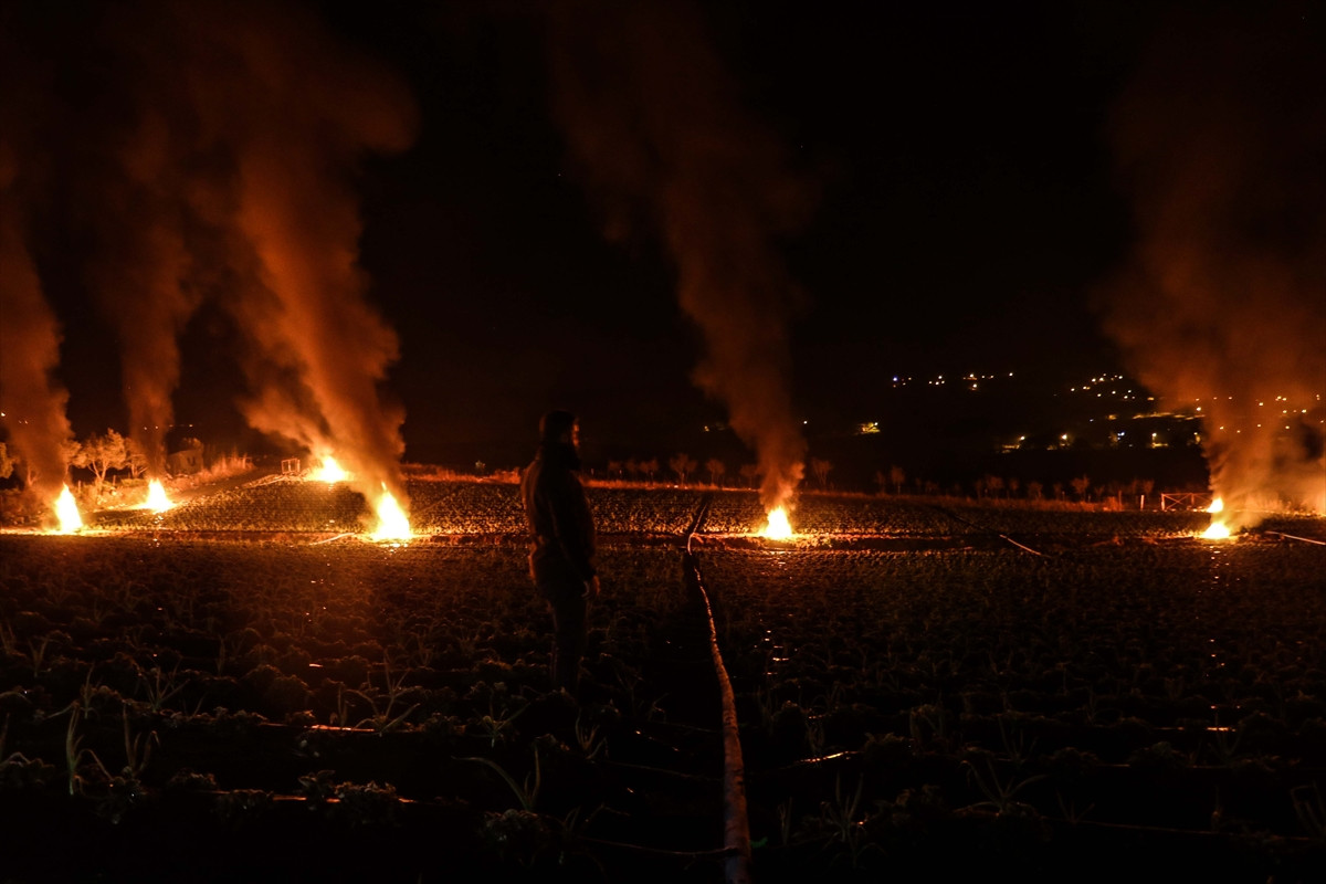 Ateş yakarak kurtarmaya çalışıyorlar. Don tehlikesi üreticileri vurdu - Resim : 2
